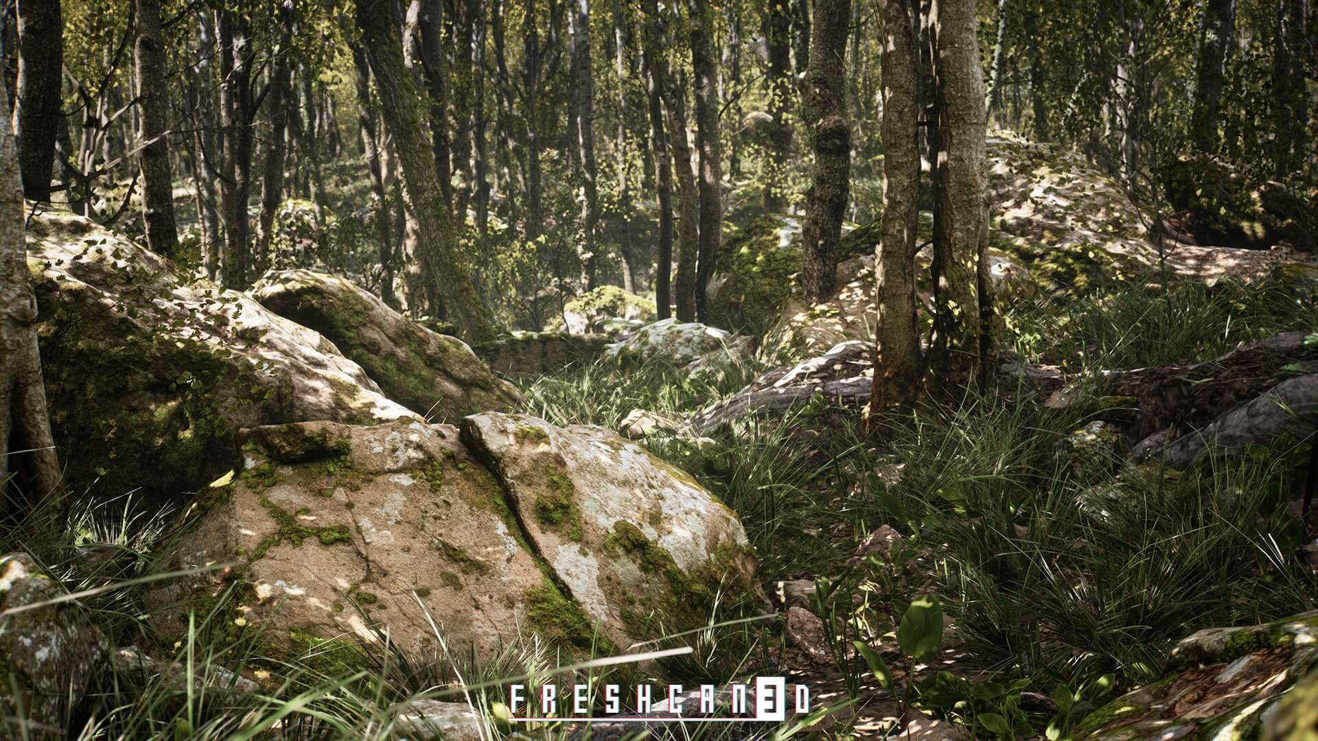 【UE5】程序化橡树林 Procedural Oak Forest