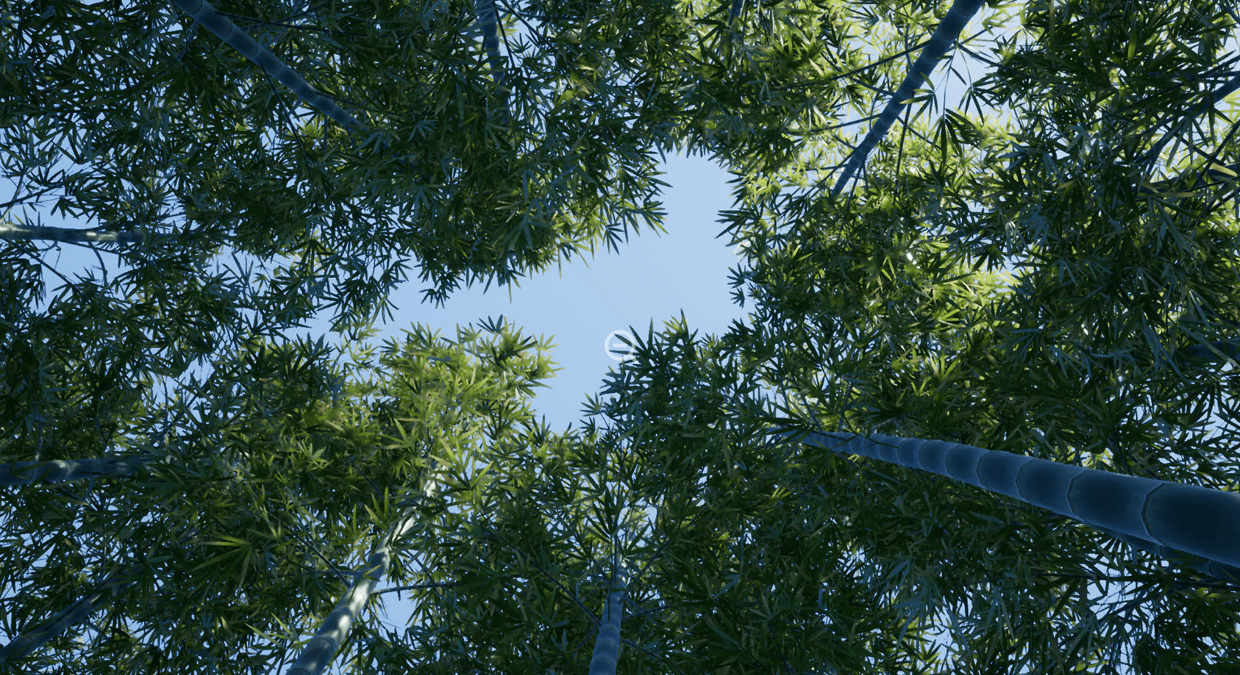 【UE4/5】树木竹林-XBH TREE Vol. 3