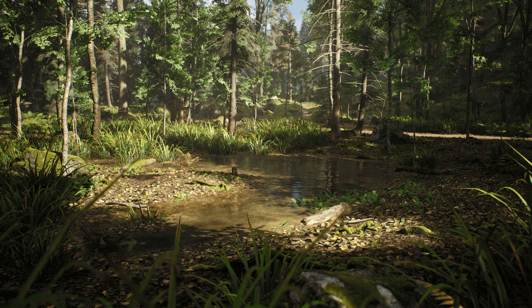 【UE4/5】北欧针叶林生物群落 – Nordic Conifer Biome