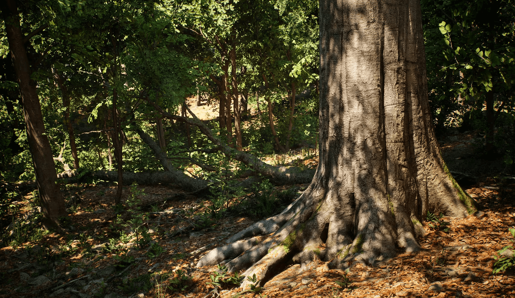 【UE5】MW阔叶林生物群系-MW Broadleaf Tree Forest Biome v4.0.7