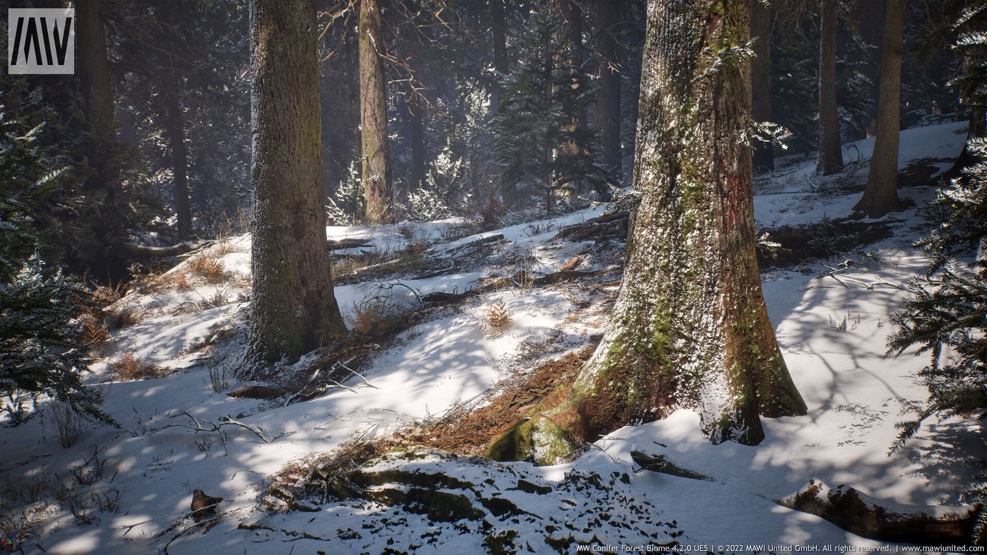 【UE4/5】针叶树森林-MW Conifer Tree Forest Biome