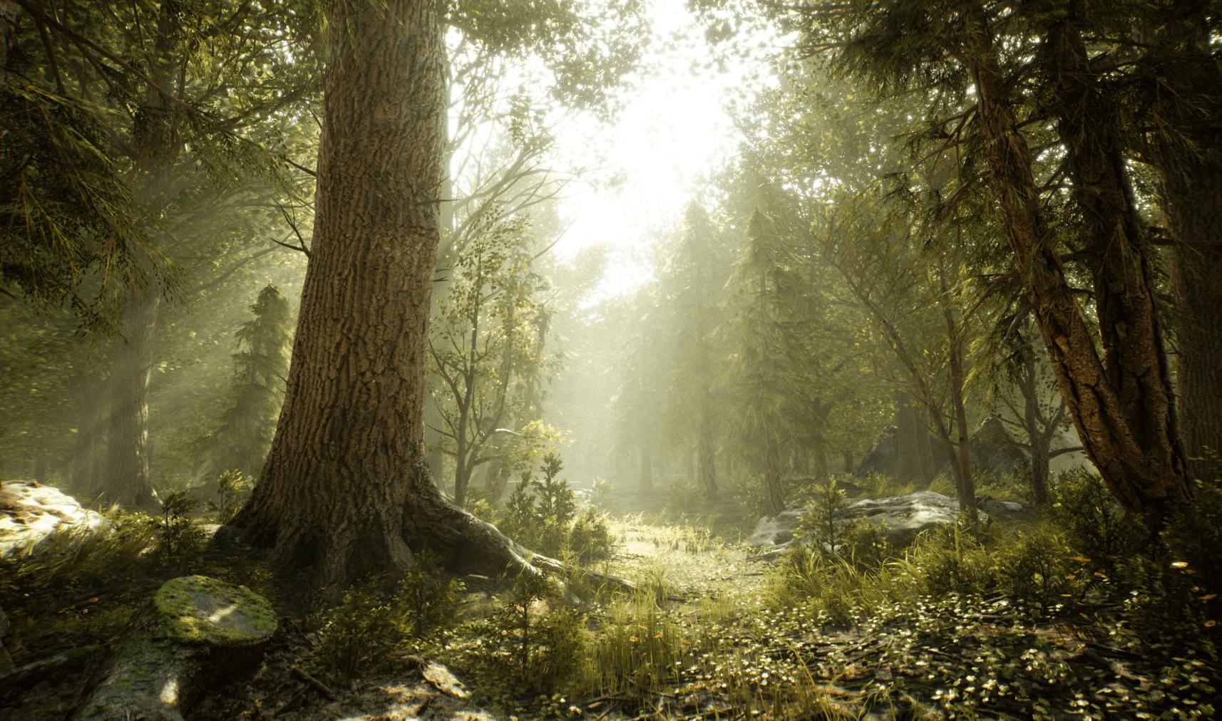 【UE4/5】森林草地包 – Brushify – Forest Pack