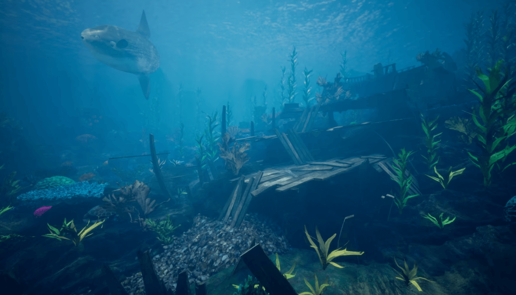 【UE4/5】海洋环境珊瑚礁 – Ocean Environment Pack 2 – Coral Reef