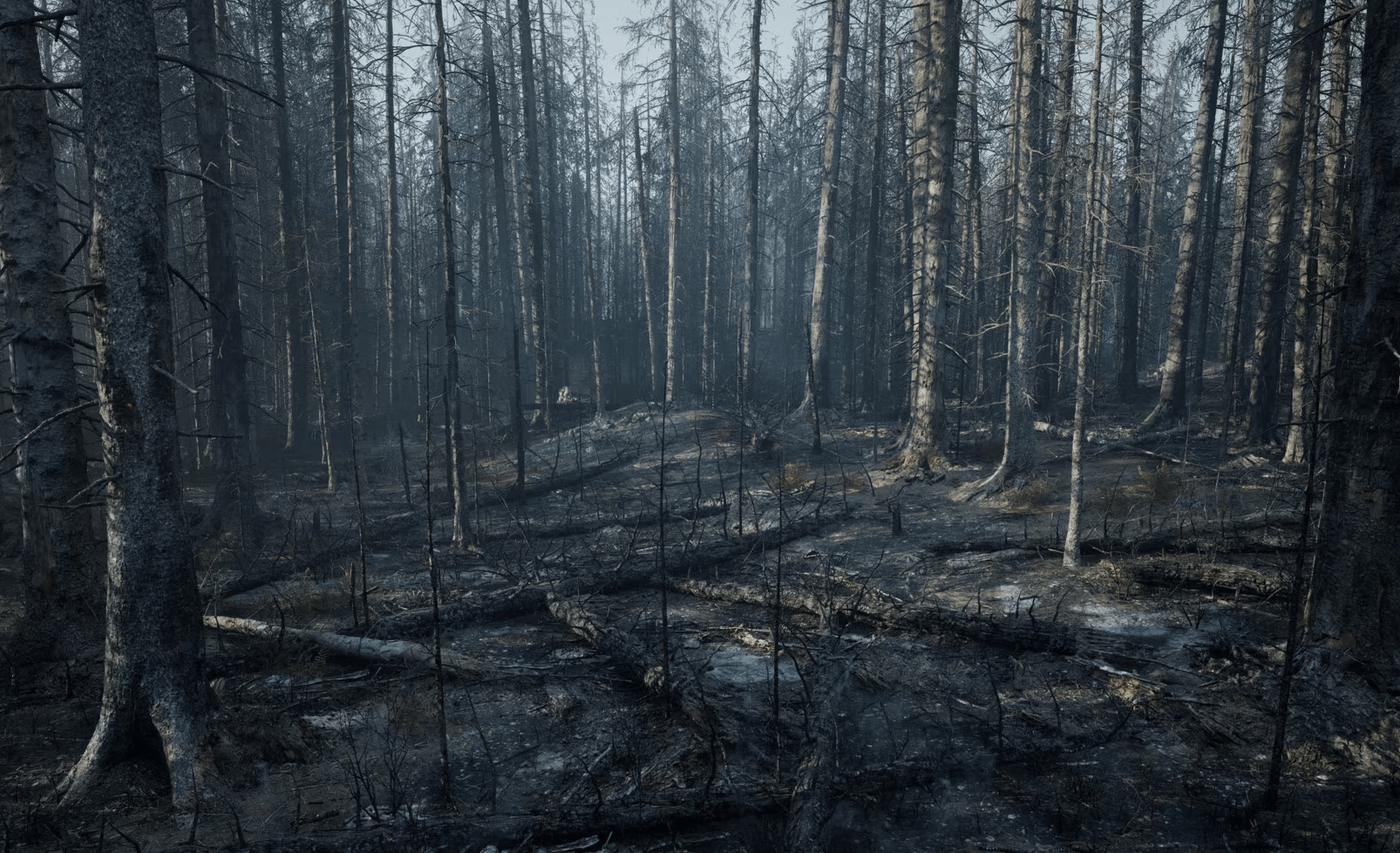 【UE4/5】山火枯树森林-MW Burned Dead Trees Forest Biome