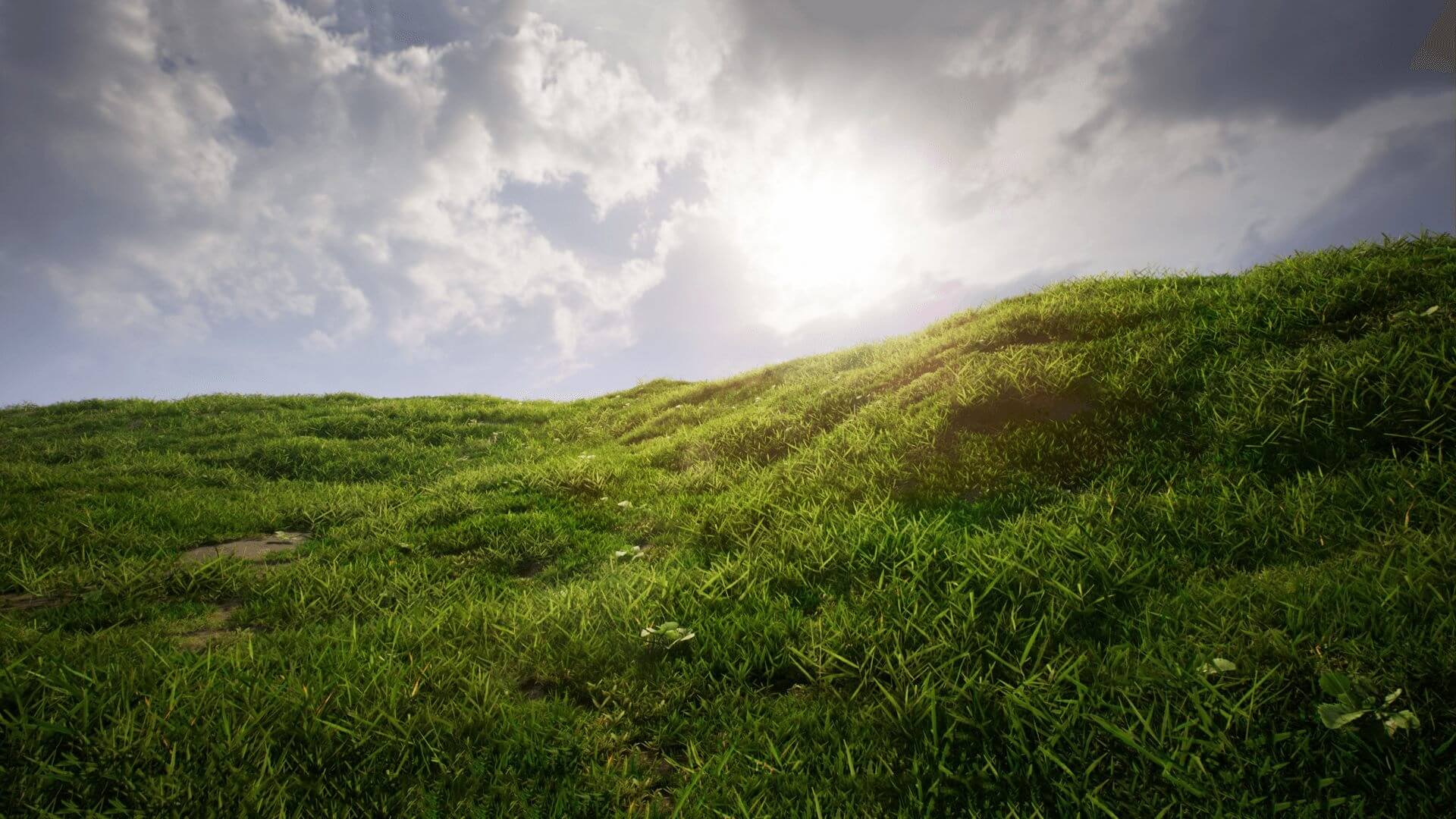 【UE4/5】草丛-Realistic Grass Pack 01