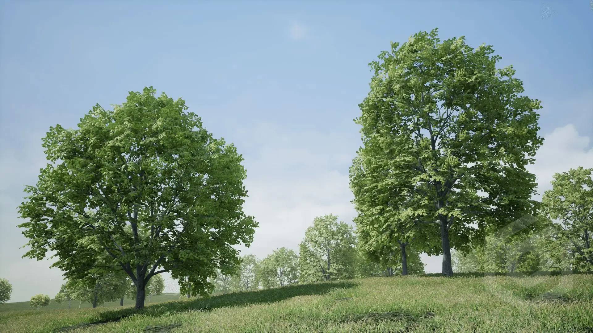 【UE4/5】树木枫树 – Trees Maple Tree