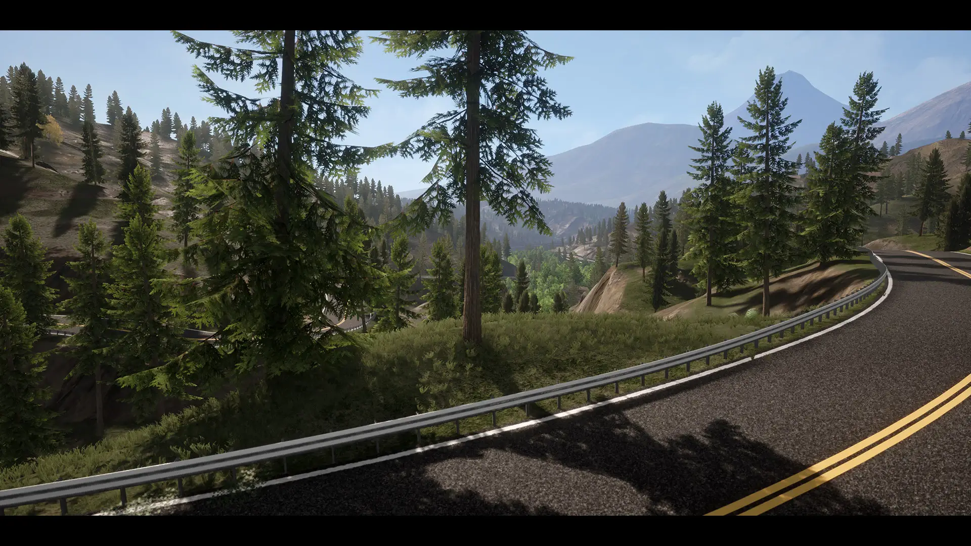 【UE4/5】真实的森林 – Realistic Forest Pack