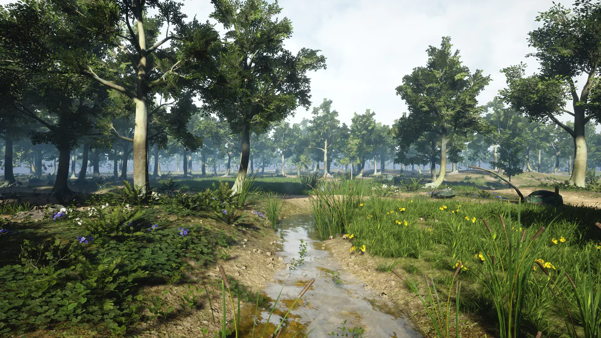 【UE4/5】森林景观-3D-Scanned, Photo-Realistic Forest Landscape Asset Pack Vol. 2