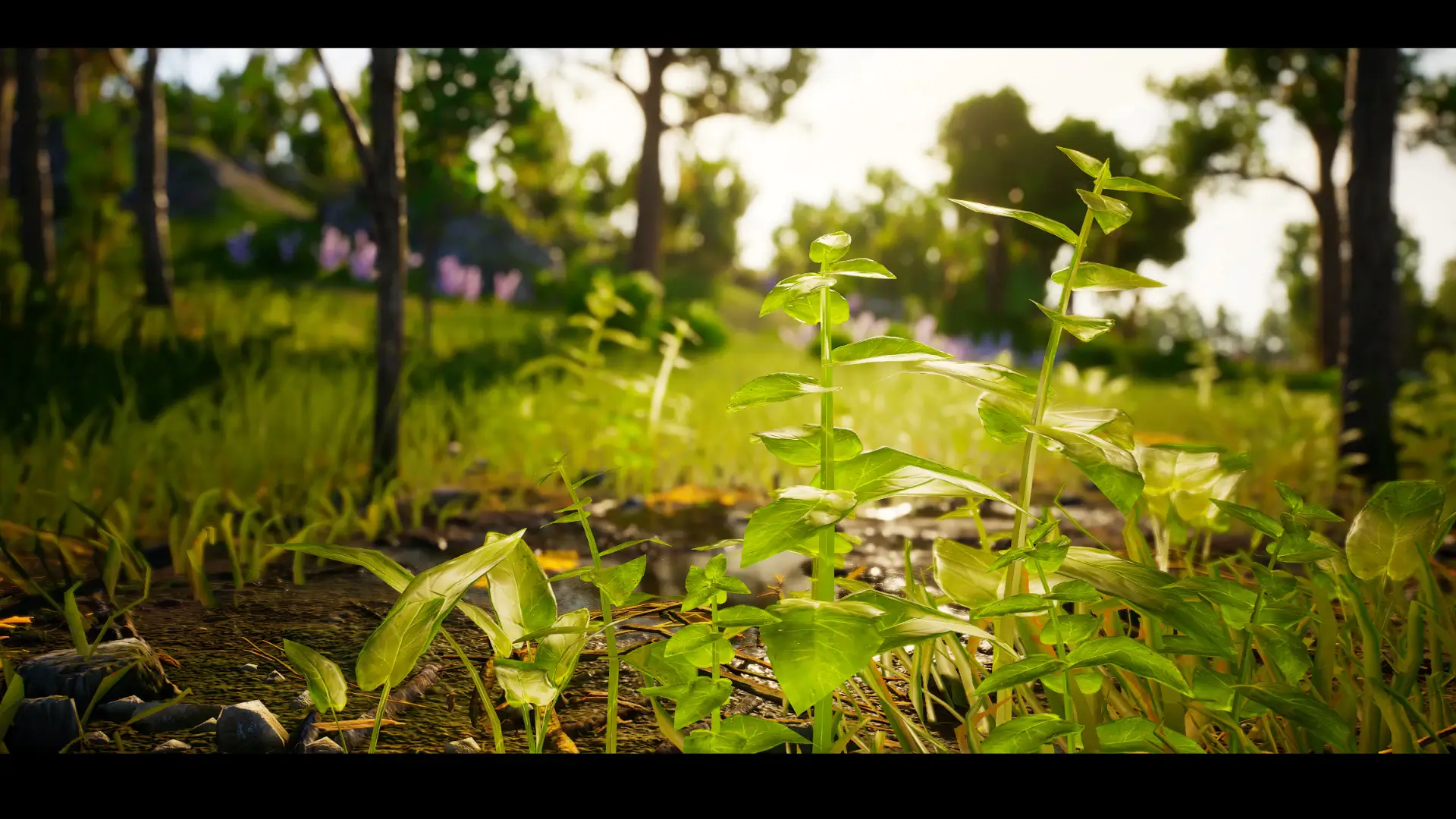 【UE4/5】多种生物群套装 – Stylescape HD Multi-Biome Kit