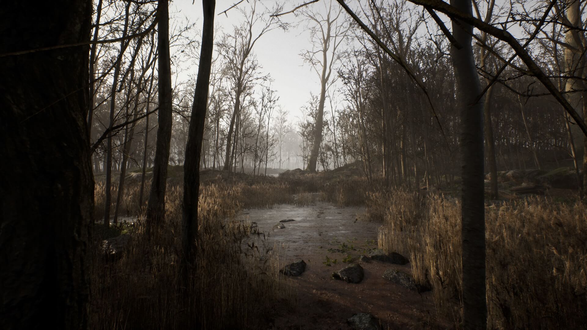 【UE4/5】枯木森林-Procedural Forest